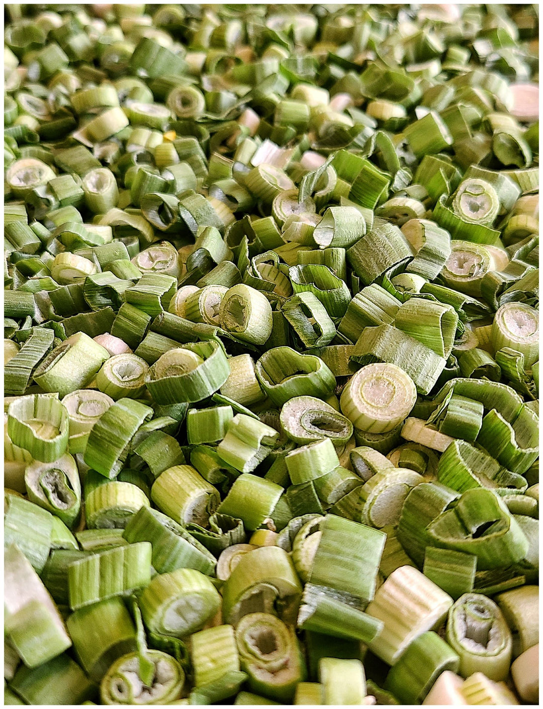 Spring onions